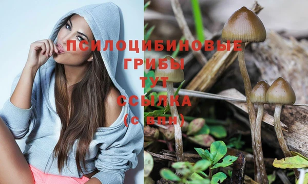 шишки Киреевск