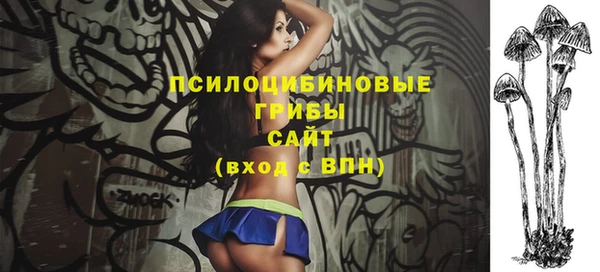 шишки Киреевск