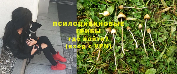 шишки Киреевск