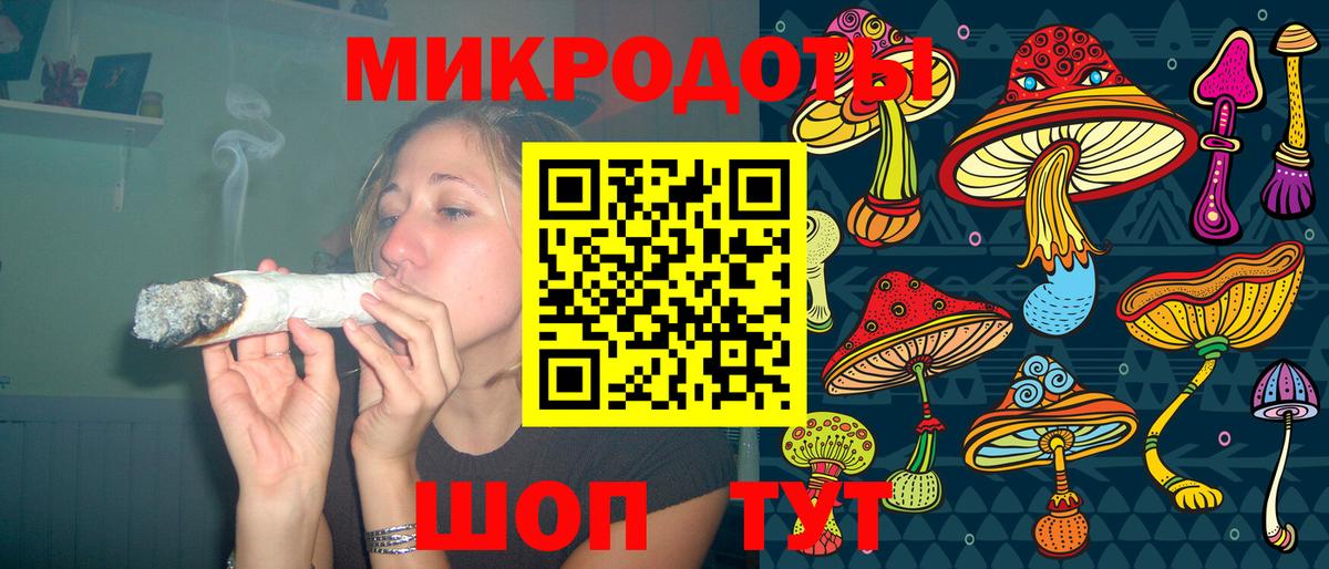 Псилоцибиновые грибы Psilocybe Сатка